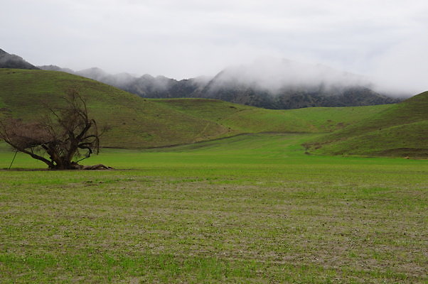 DSC08048