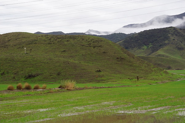 DSC08034