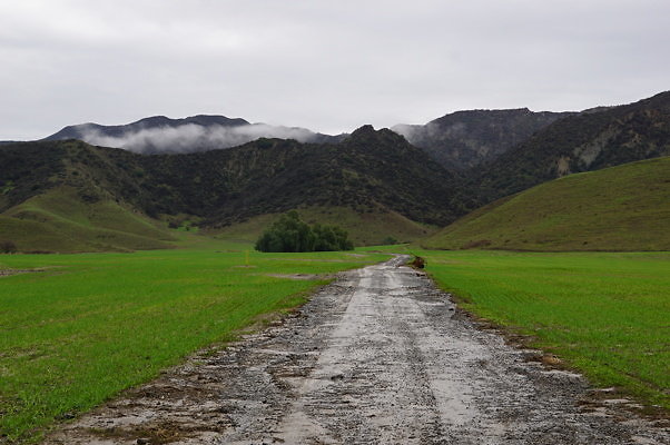 DSC08045