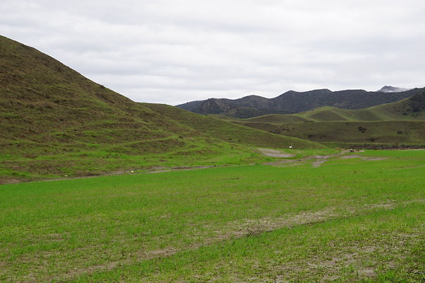 DSC08043