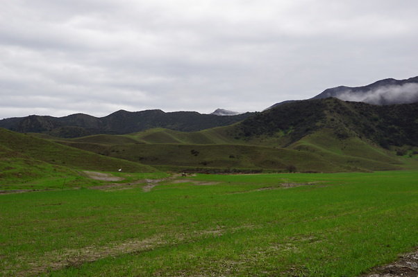 DSC08052