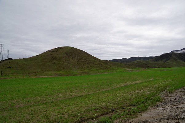 DSC08040