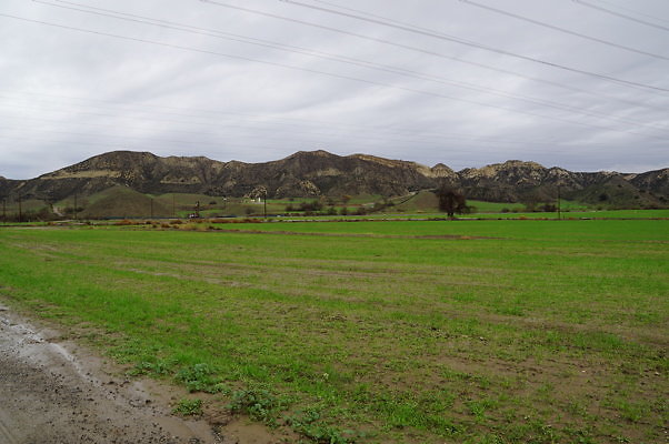 DSC08057