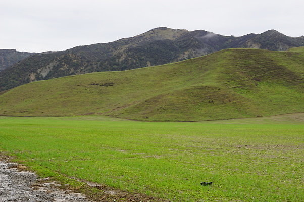 DSC08046