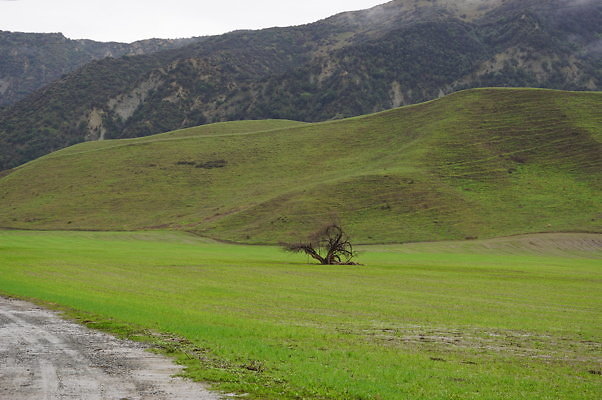 DSC08036