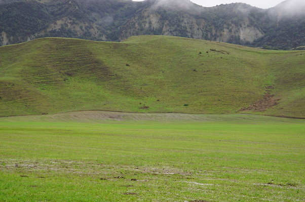 DSC08037