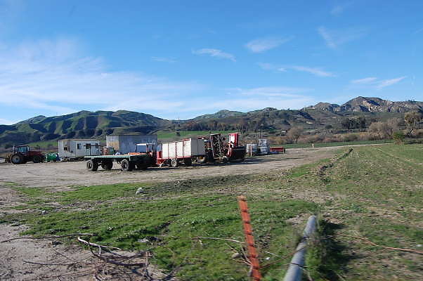 DSC 0665