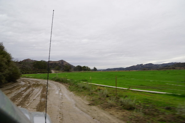 DSC08082
