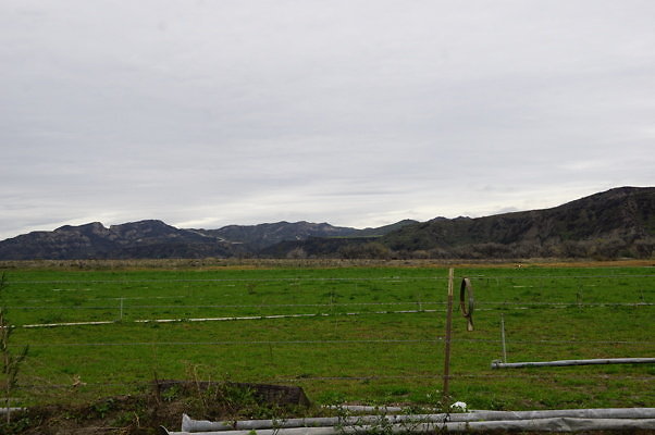 DSC08109