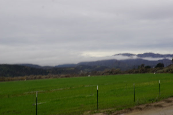 DSC08114