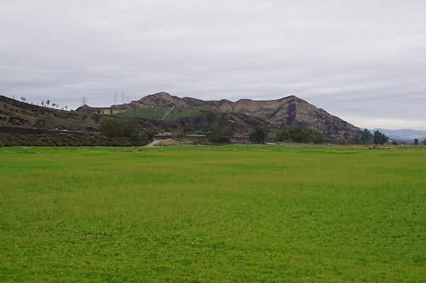DSC08068