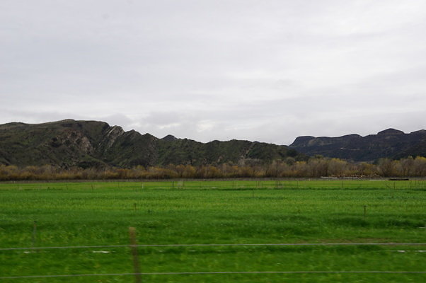 DSC08080