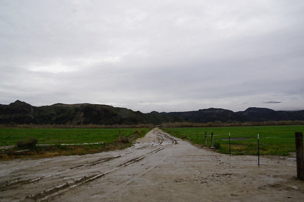 DSC08098