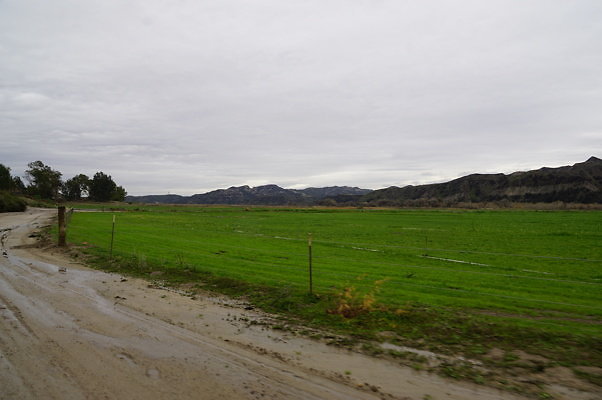 DSC08092