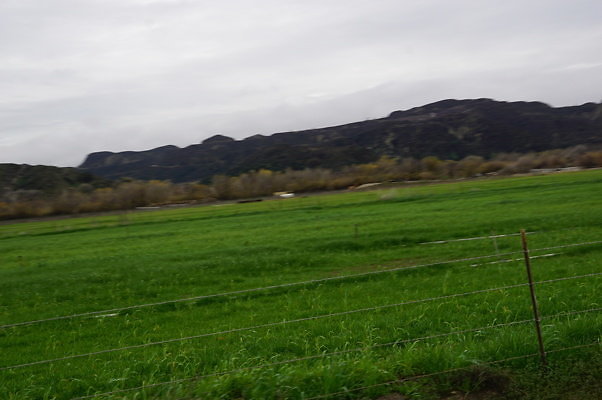DSC08081