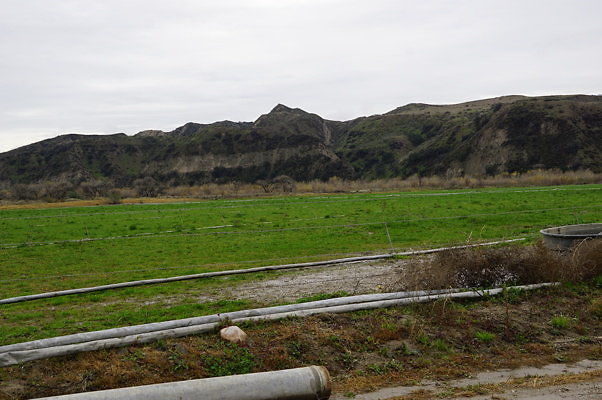DSC08112