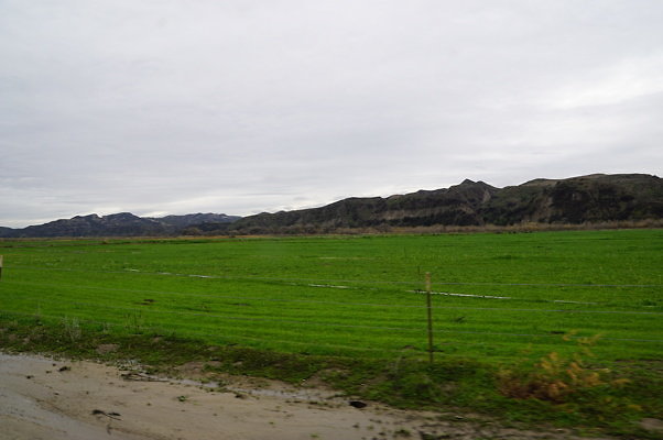 DSC08093