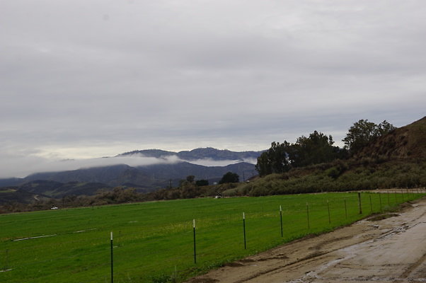 DSC08115