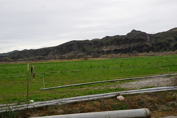 DSC08111