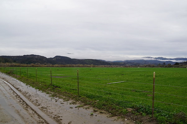 DSC08104