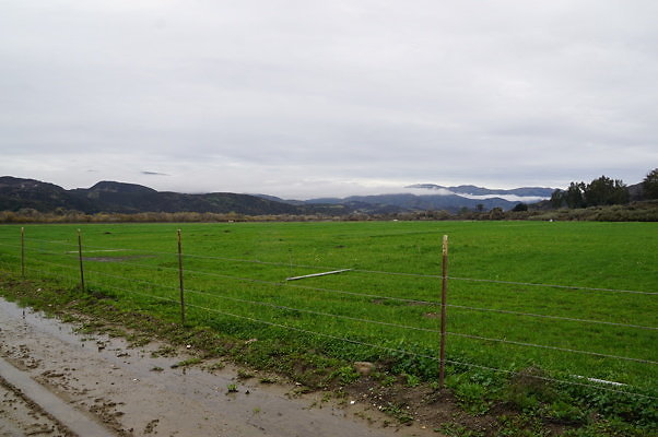 DSC08105