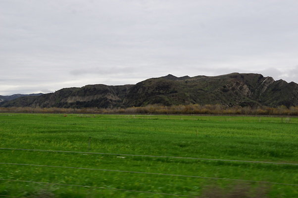 DSC08079
