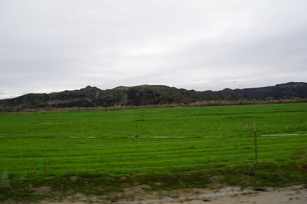 DSC08094