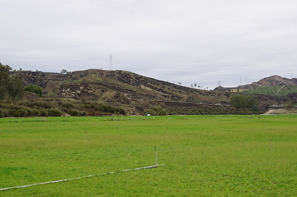 DSC08067