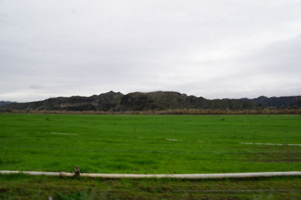 DSC08085