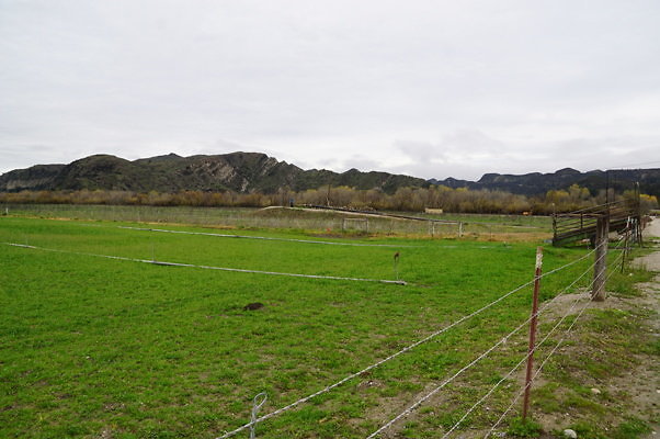 DSC08063