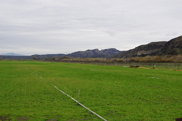 DSC08070