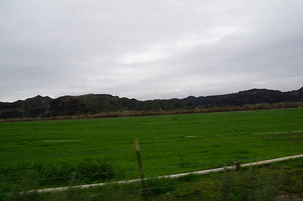 DSC08086