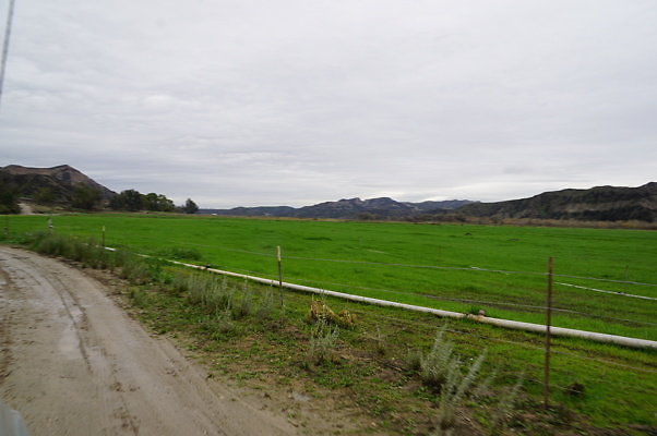 DSC08083