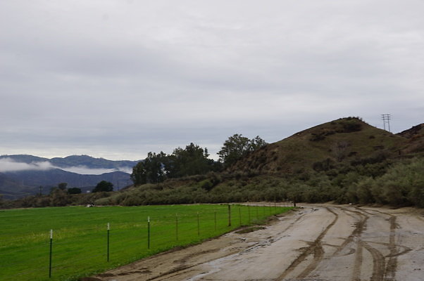 DSC08116