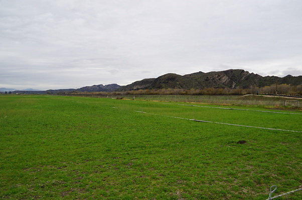 DSC08060