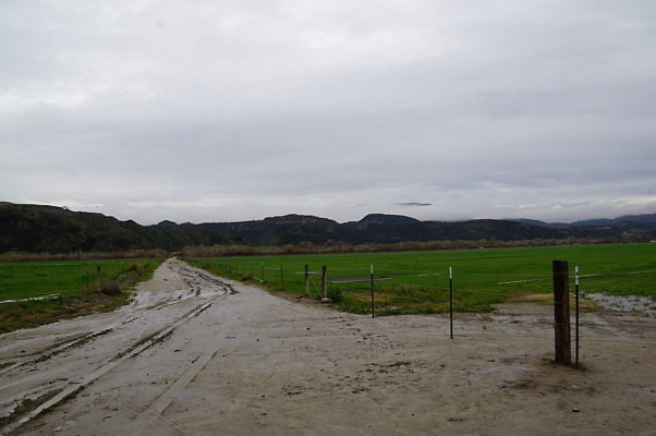 DSC08099