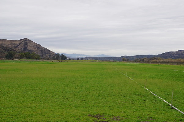 DSC08069