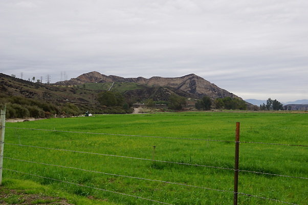 DSC08073