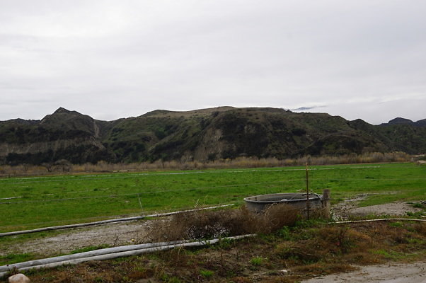DSC08113