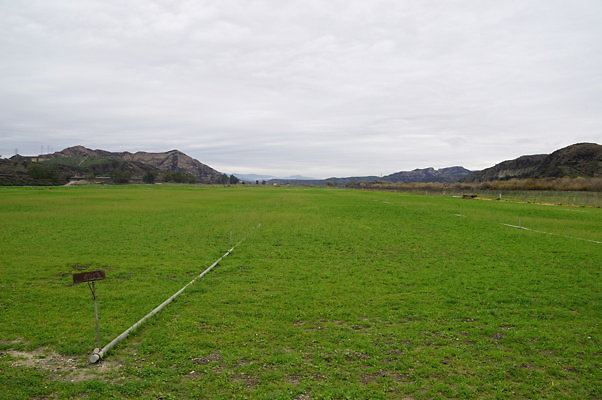 DSC08062