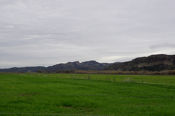 DSC08075