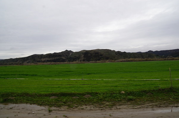 DSC08090