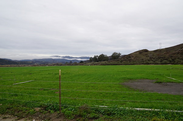 DSC08106