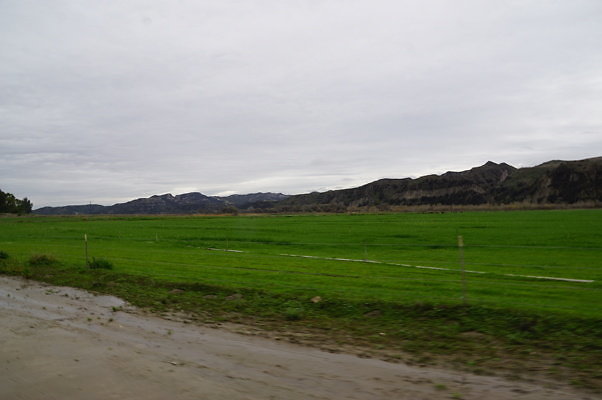 DSC08089