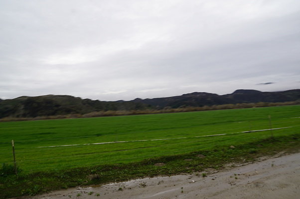 DSC08091