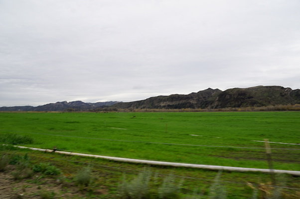 DSC08084