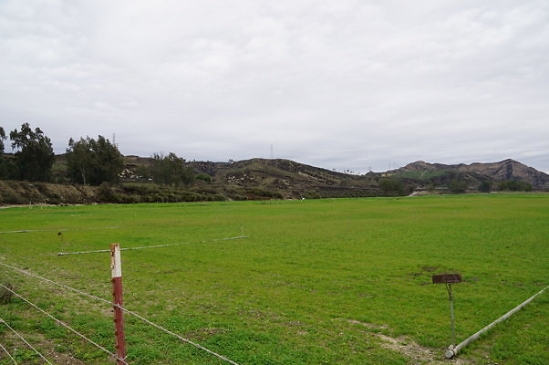 DSC08061