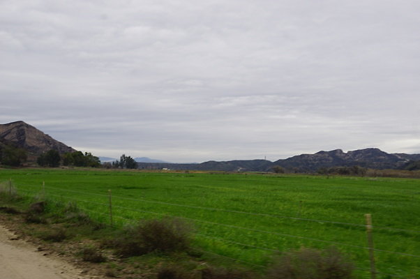 DSC08077