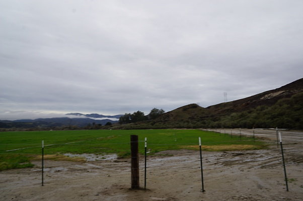 DSC08102