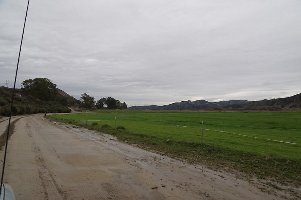 DSC08088